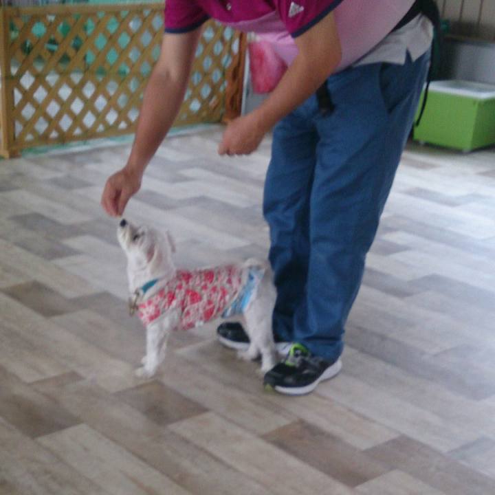 1d9388e7 a383 4384 9af8 bcabf4380b15 1527404562635