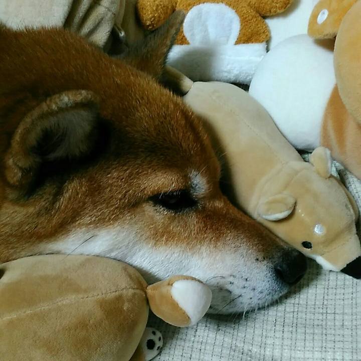 1d93c277 1b58 43ff ae42 2b1da307e0e1 1570798816241