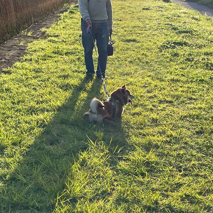 1d940cfc 388d 436b b7d0 90e5602d590b 1681037318193