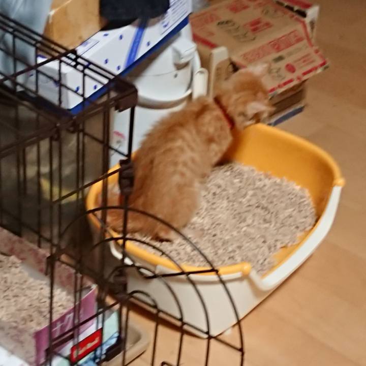 1d948a23 39a9 4ee7 aab0 625ef000e60c 1629489617081