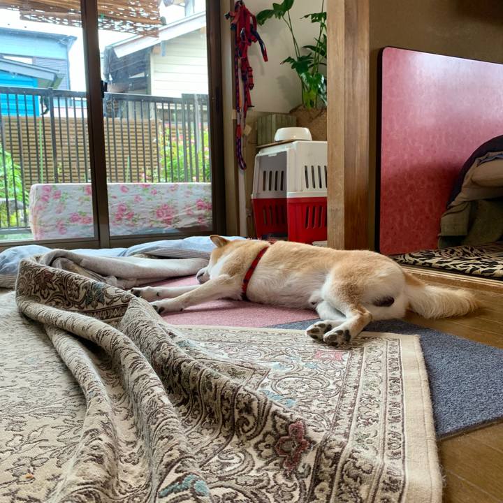 1d948a3c 843a 4b24 84c3 d75ea78ce5ff 1657449925356