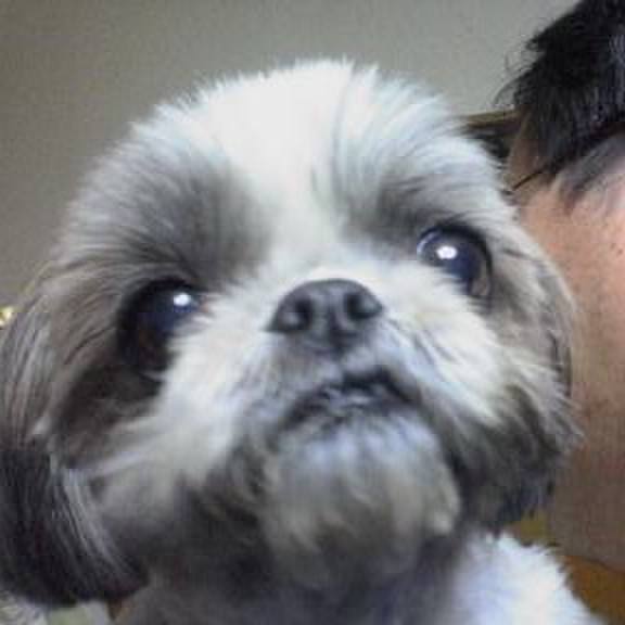 1d94a851 6b19 4082 8290 b709e280965e 1543736248730