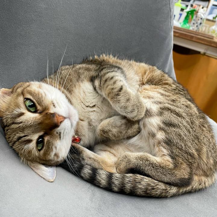 1d94d175 2800 4f72 86ec 786612d880ba 1711280895903