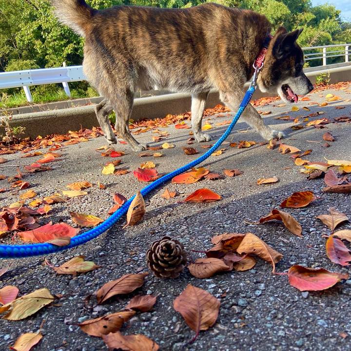 1d94eb78 f595 4346 986a ff3eb5503ffd 1666834302575