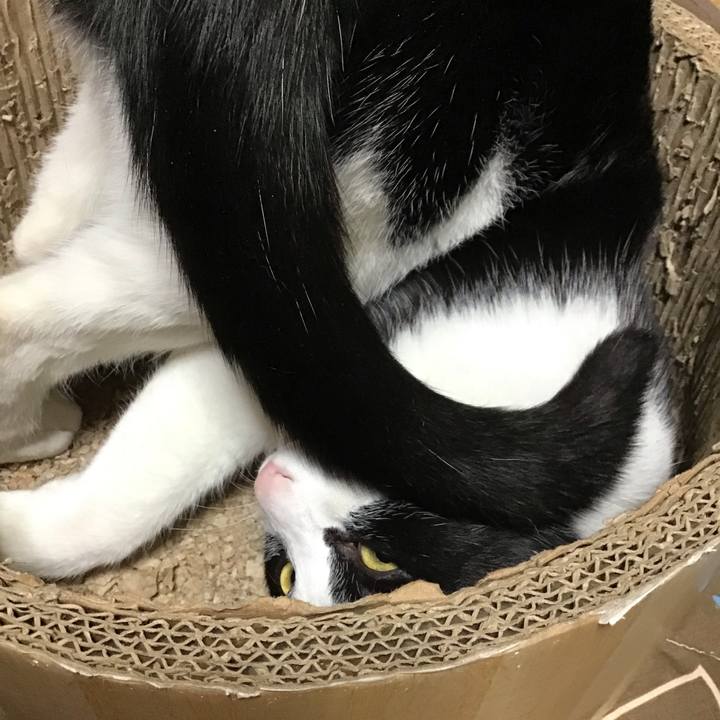 1d9506eb 8595 4f64 b1b0 7b3c214b109f 1743333693317