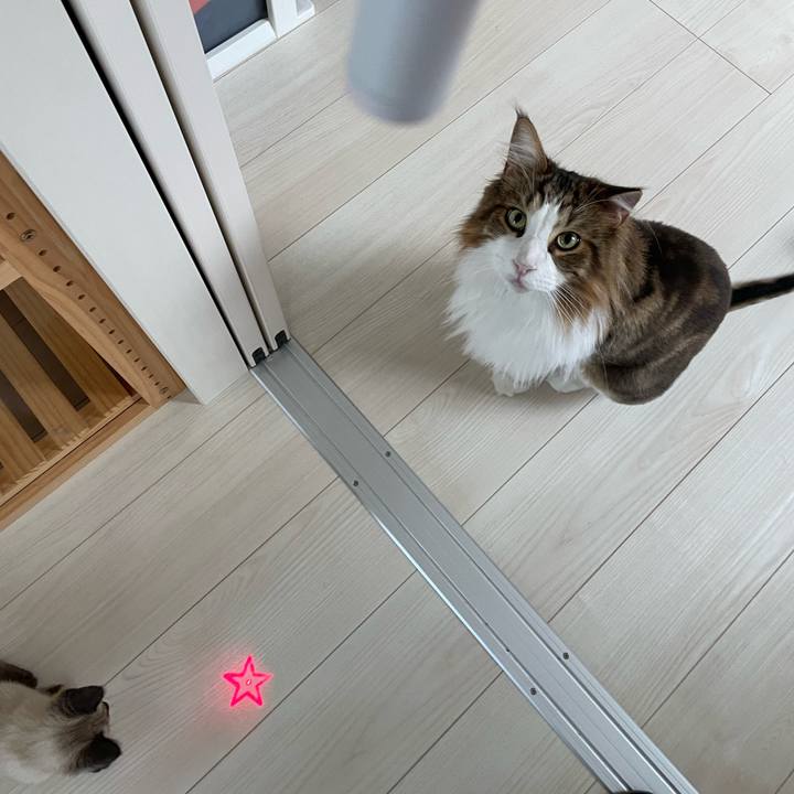 1d9518cc 5dfc 4f5b b875 33891c8e1f89 1689543228674