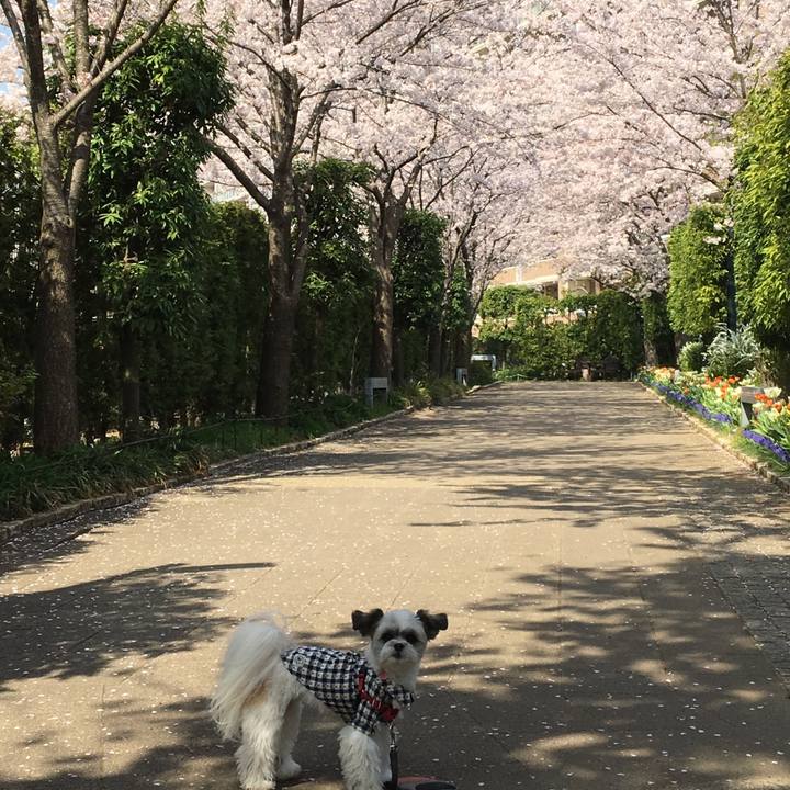 1d9521d1 1a5d 46de a54c e61563c1462c 1522294240581