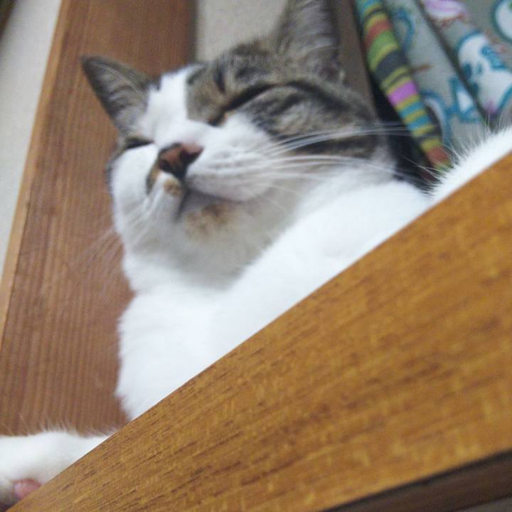 1d95255a 8433 458e bfb9 9433fa522a27 1653739039364