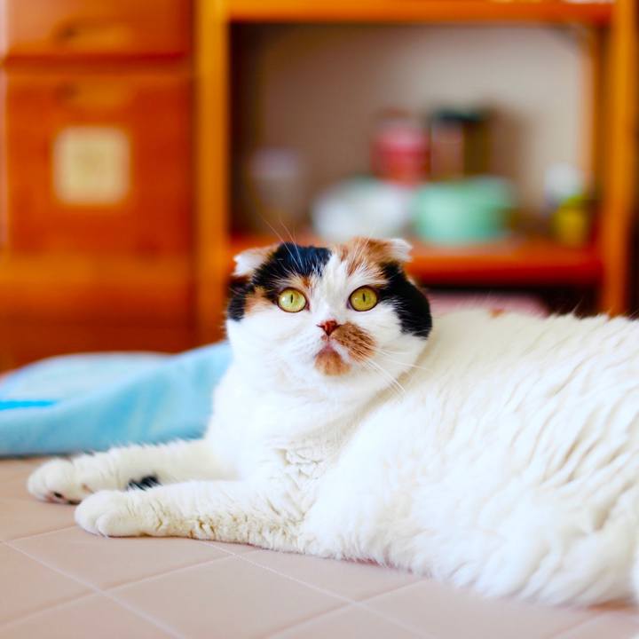 1d953473 639c 4e6d b2a8 8f3934348e40 1579391275281