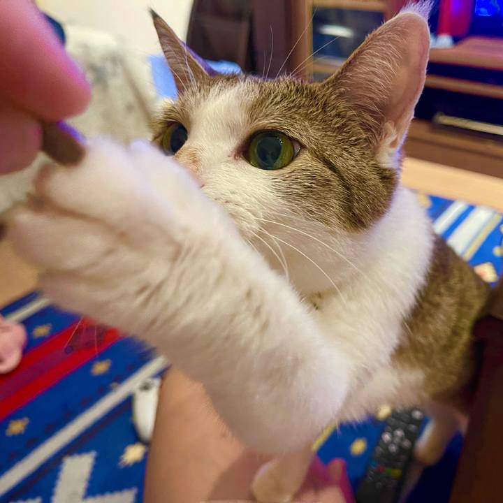 1d95538c 52de 429c 96a4 9ec316994e15 1629197862257