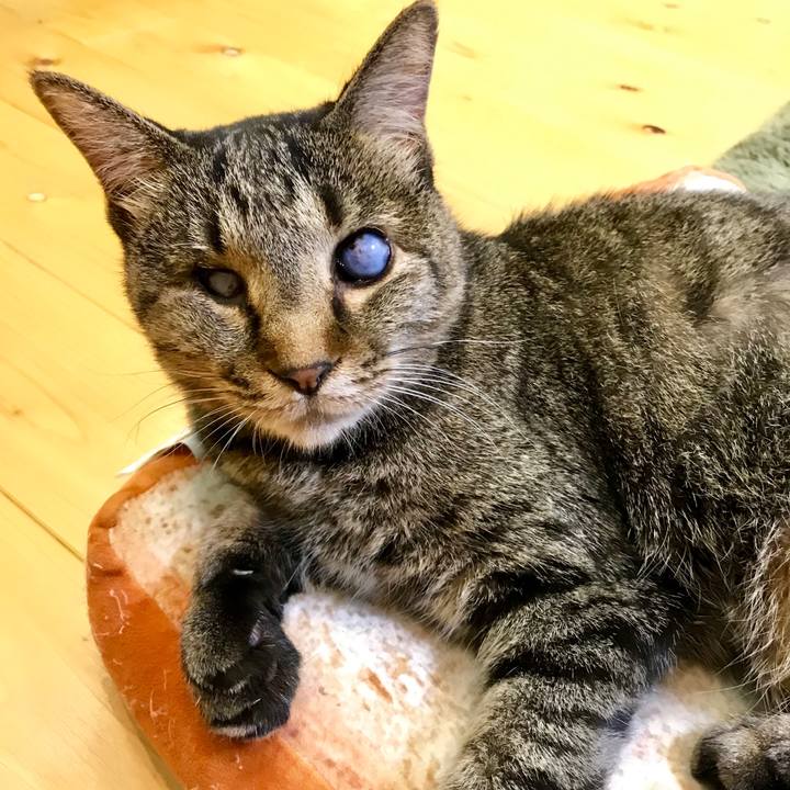 1d955ac5 7ce7 415c 872a 2fc56bfbdc70 1565261093116