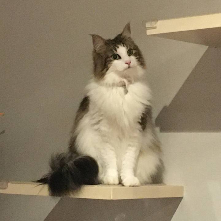 1d9562ed 2d7b 4a68 b900 251265f50b79 1591359619886