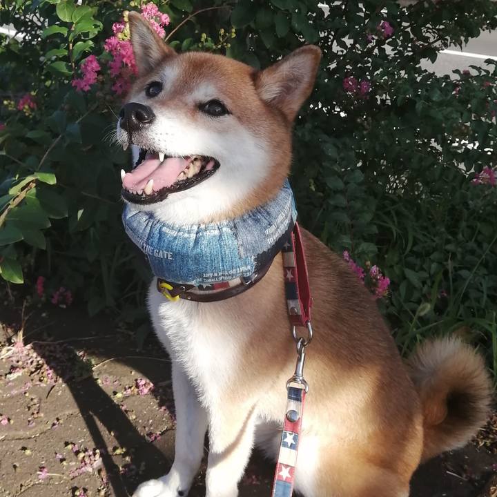 1d9585b8 9f75 46ba bf64 02313c884b7c 1691844000690