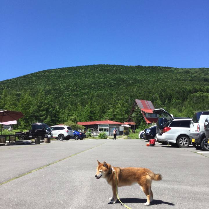 1d958650 e45a 42ea aee5 b9c68915257d 1565242532463