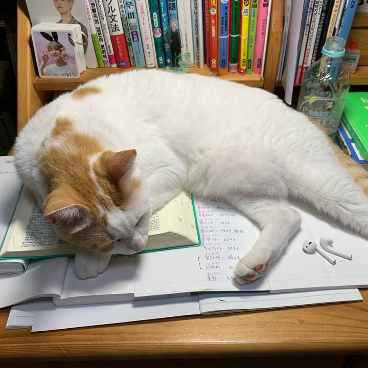 1d95a5c8 cf47 42bd 8478 c66df5a757a0 1600871878840