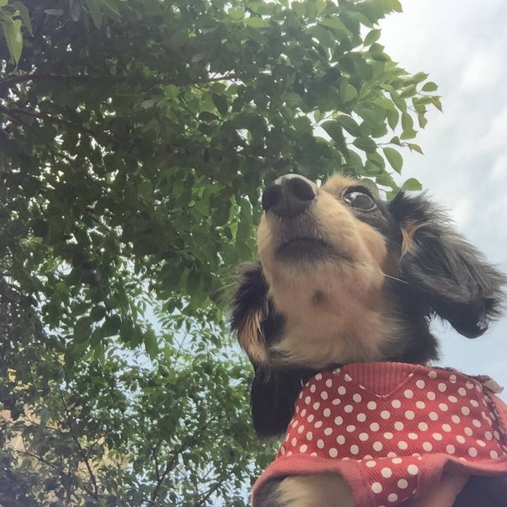 1d95b336 b228 46df 9f87 6a7e6e887246 1526602157495