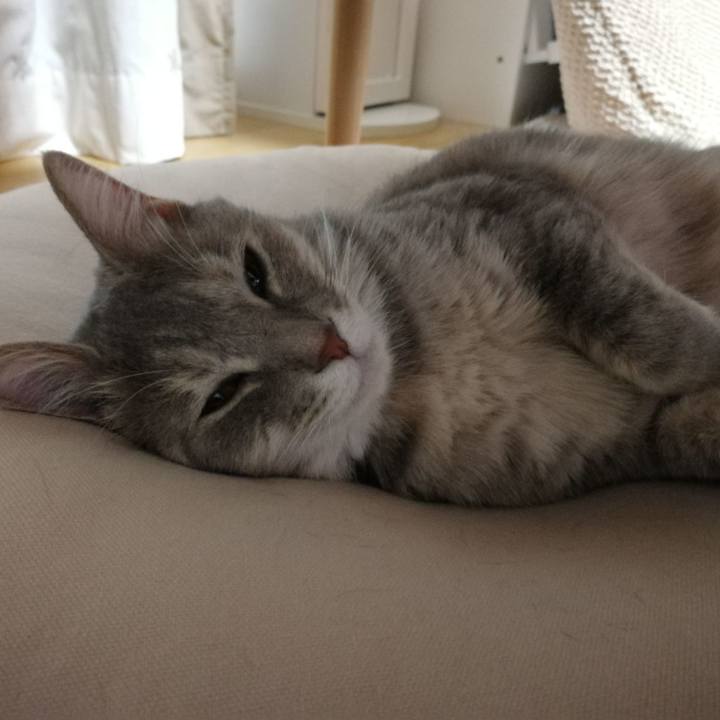 1d960b3b 141f 4b9e b227 19acf803a73d 1530357567859