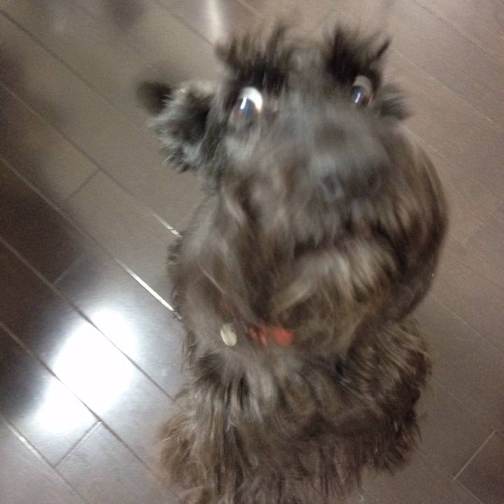 1d963776 ae53 440d a168 e9f5c4d2f90f 1550451797868