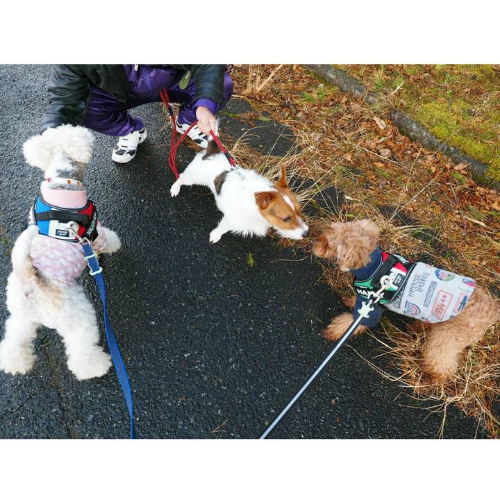 1d9637e6 18ad 470f b804 79b0f109ccbe 1513896321765