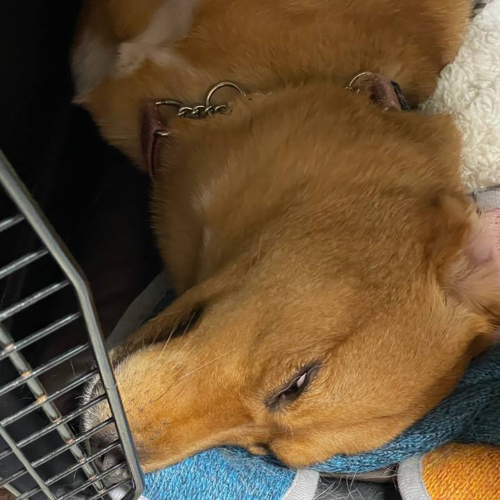 1d968525 a677 4290 b50a 2f71a82d88d8 1627910234886