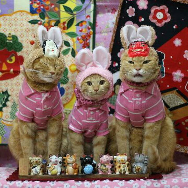 1d96ae60 a6c7 47a6 b876 81c938514887 1549011249312