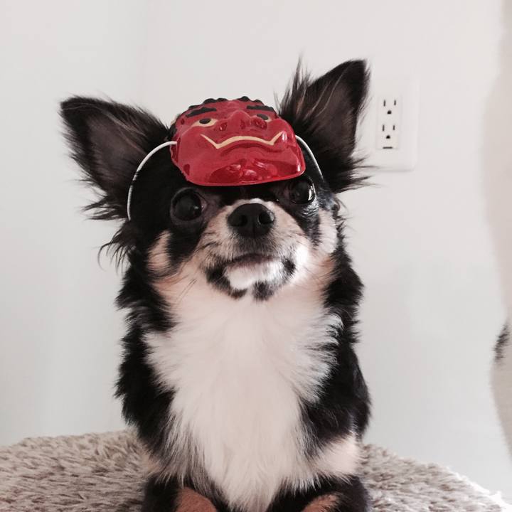 1d96e74a a623 46b0 af21 871673e5b29e 1517645612881