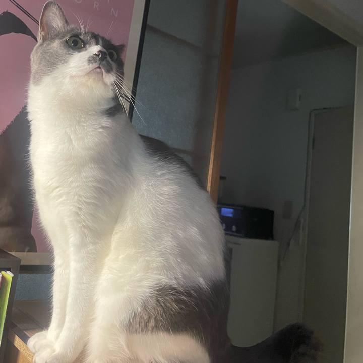 1d9717e3 33f4 4d02 ab2b ac3e23b32091 1722845474755