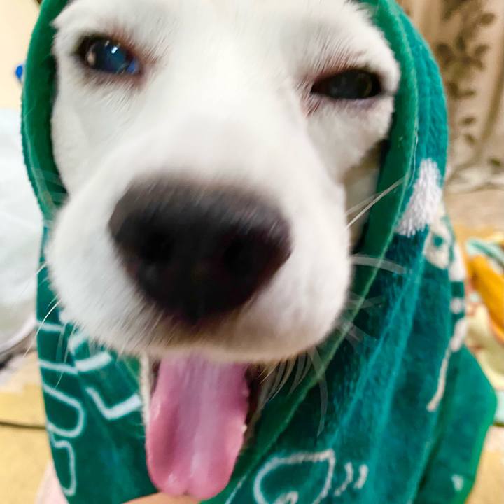 1d97589d 87b3 4936 ba72 ea726949584f 1615176758184