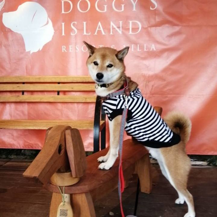 1d976a02 d3f7 4169 97ce 59f981090412 1635156232328