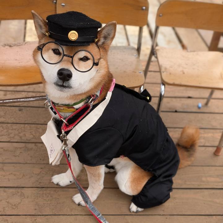 1d9792d0 cd23 462b ab53 2f1bcc015a0c 1741588771150