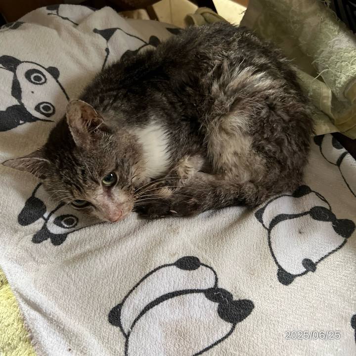 1d979575 cb9e 4db8 ac05 71d033a01fb4 1750802070402