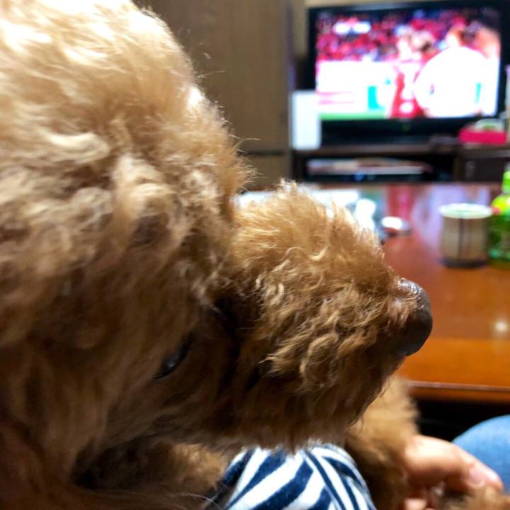 1d97d6cf 6220 4e57 9e9d 95c0ea9474d6 1571400247385