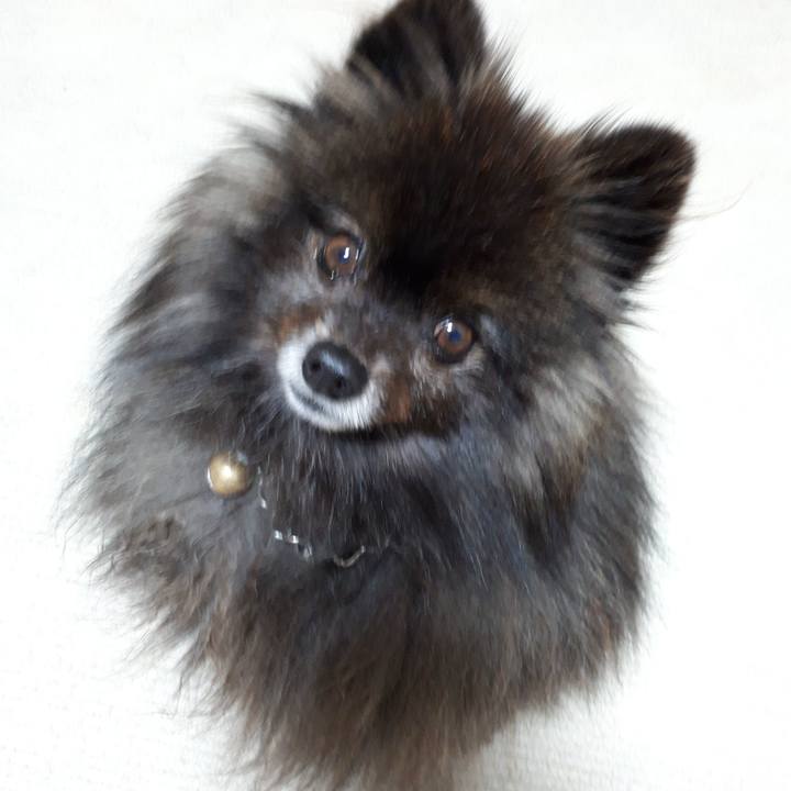 1d97e6eb 6dc4 49f3 8772 7214f58d98ba 1518024538419