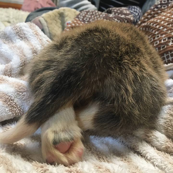 1d9862c7 0388 4d1c 829f faf5318dc753 1588247710218