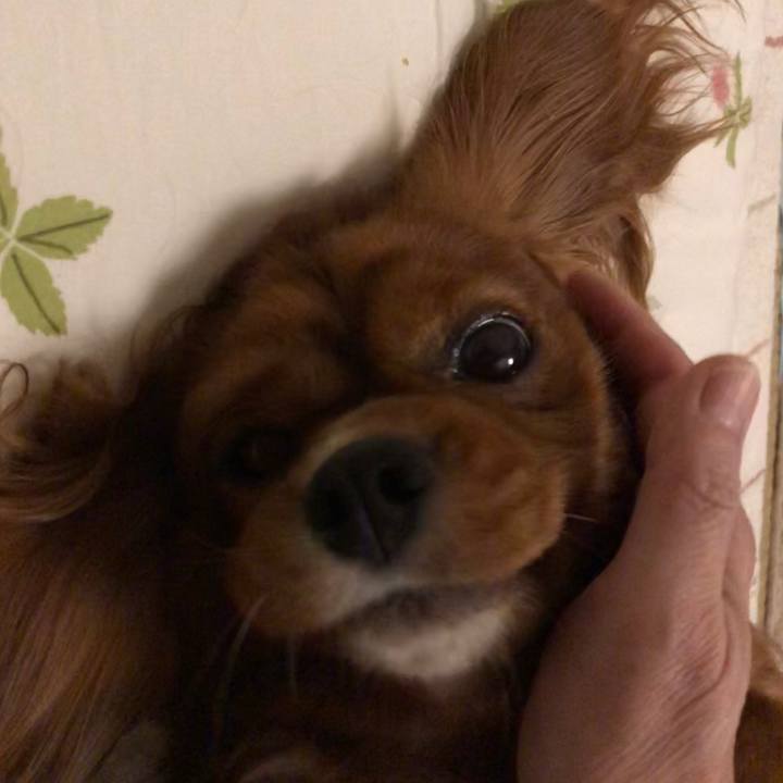 1d986970 0063 410c a562 f0abfca56817 1564833101766