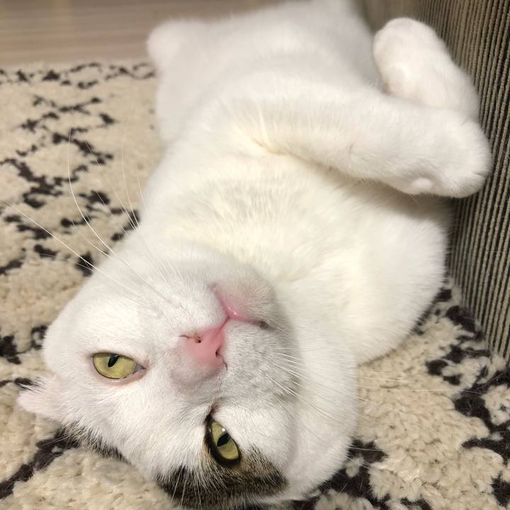 1d988cf9 17e0 4833 a790 e6284f99e88c 1559216410349