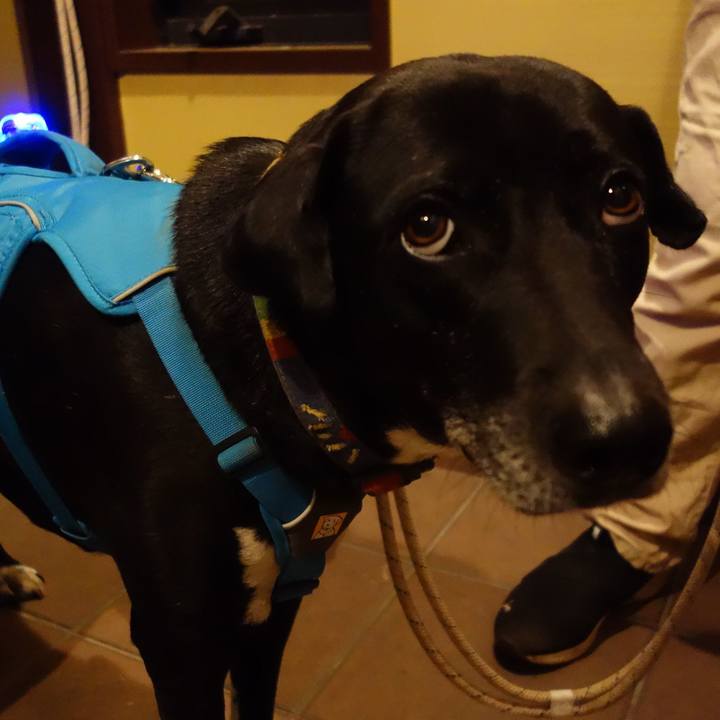 1d98a73e b8d6 4686 9e2b 3ba82a74a3fe 1678619840020