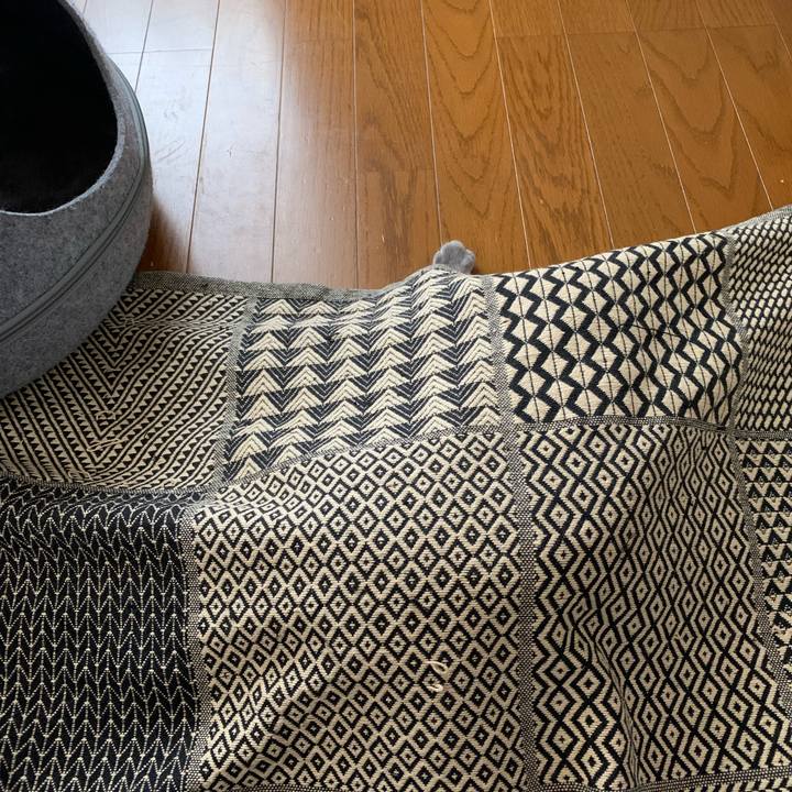 1d98afd0 2b26 49ca 8e41 a5a4c9adb3c0 1607121186089