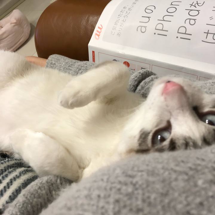 1d98d22e 936e 47f9 805d 2948e6d45f46 1518962703108