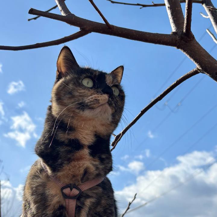 1d98d27b 3f6d 4c6b a765 4dc01882e667 1771035084937