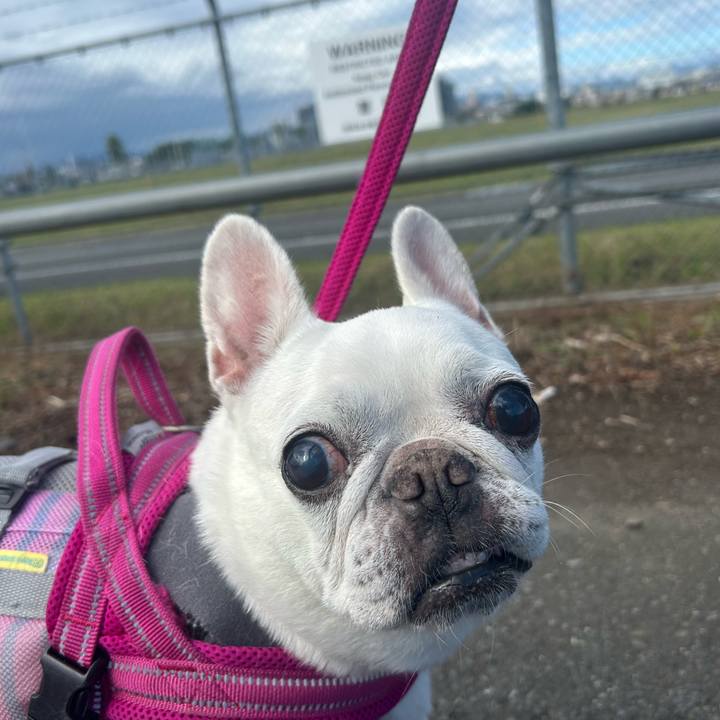 1d98f559 636c 4630 80dc 39b4414d53fb 1729400126418