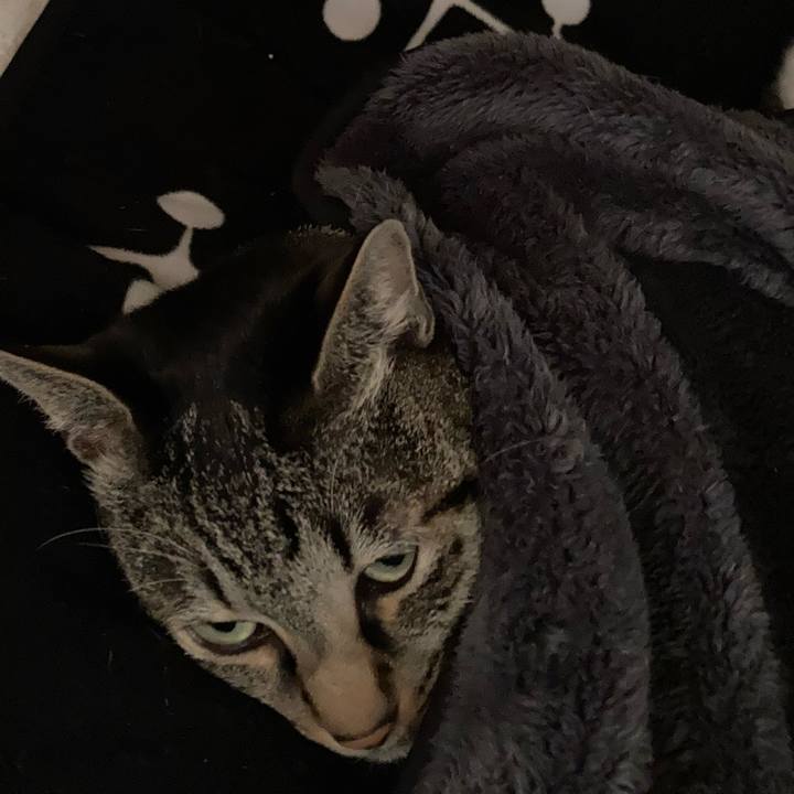 1d9900cf ac6d 4b10 8a66 05474d014304 1610954559494