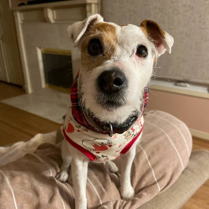 1d990d74 21c1 4064 a954 abbdb3c46e1e 1646932664019