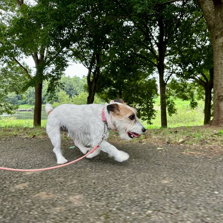 1d991157 0994 412f a908 4aa1c448c468 1688914876703