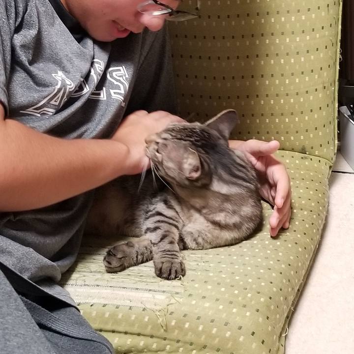 1d991799 10ca 494a aecf 341b69b9755f 1691418137020