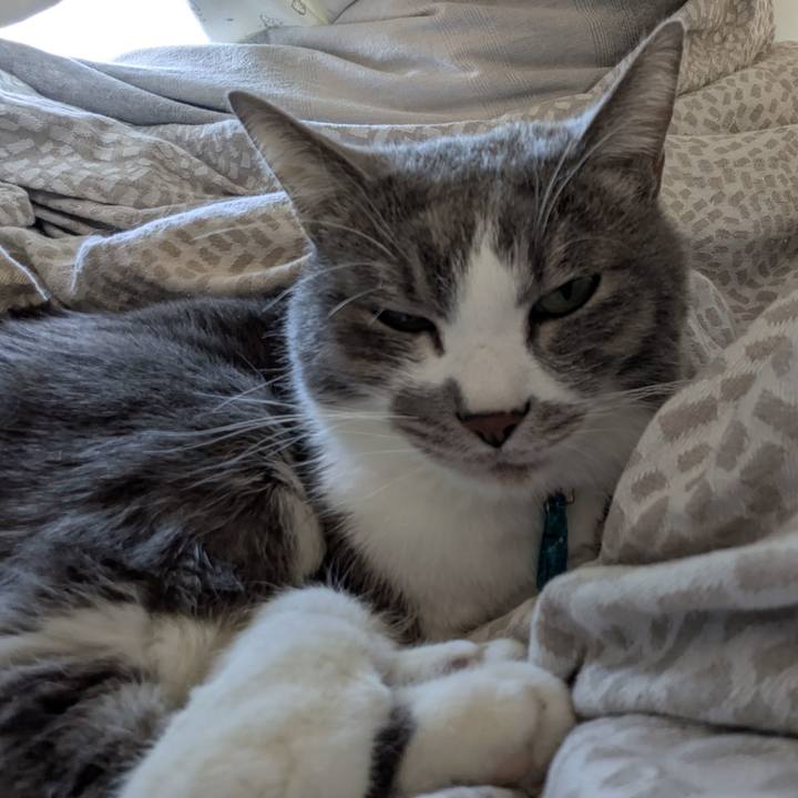 1d9943e0 2994 4955 adad e9e21b6692d8 1768530521589