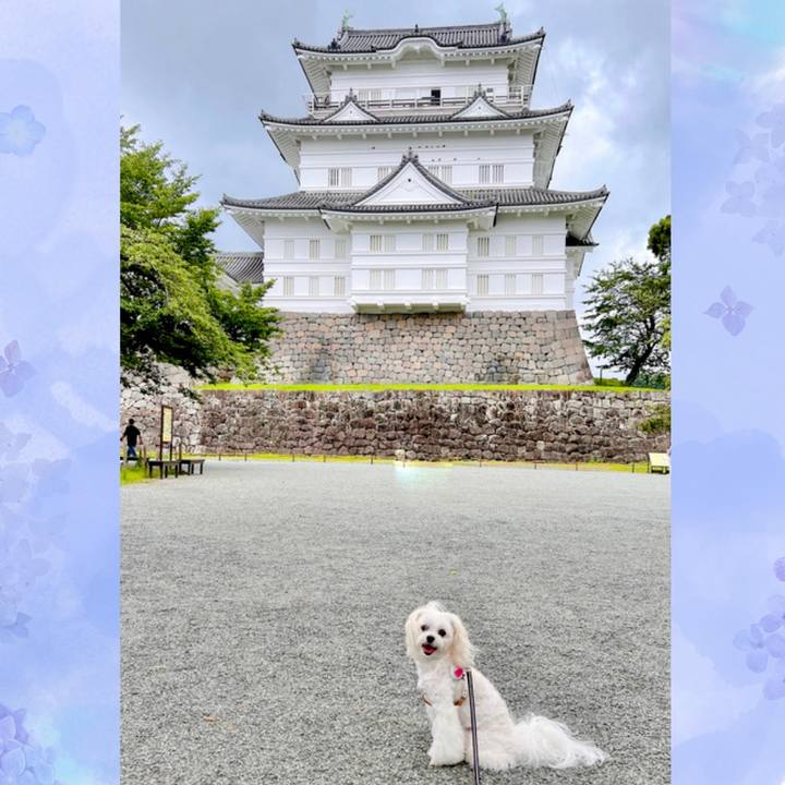 1d998e3f 1317 4656 bacc 3120904917ef 1688986840834