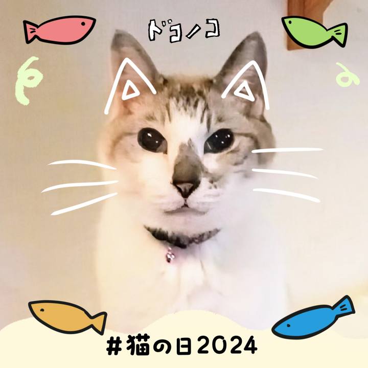 1d99ca1d 380a 431f 91bd 5c33028c5988 1708585499804