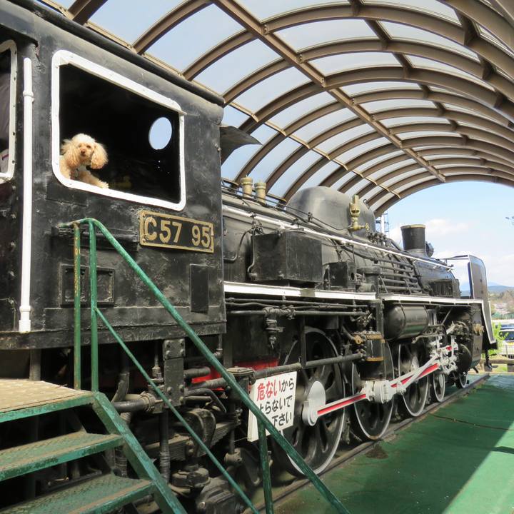 1d99f600 232b 4212 b18d 94694fb76eab 1648368718909