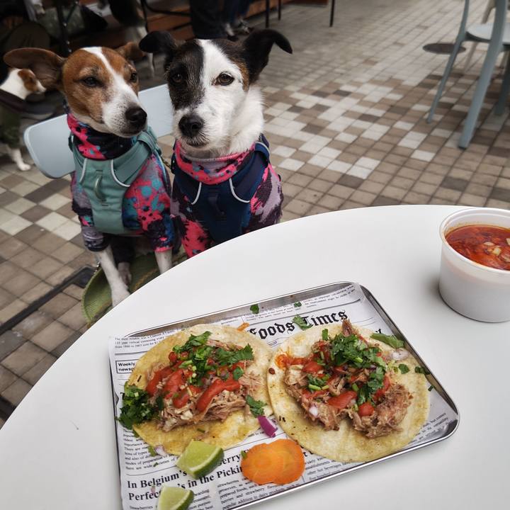 1d9a1ff0 2a18 4f26 98d3 89ef8f9f94ff 1737296640249